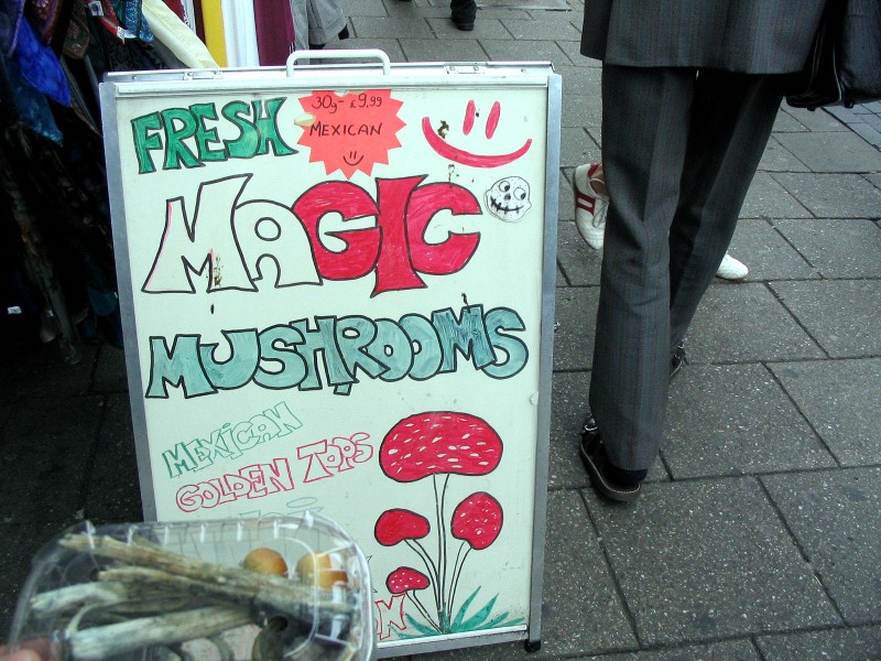 <b>Fresh Magic Mushrooms</b> - czyli dobre halo grzybki smieszki. Cena 10Ł za 30g