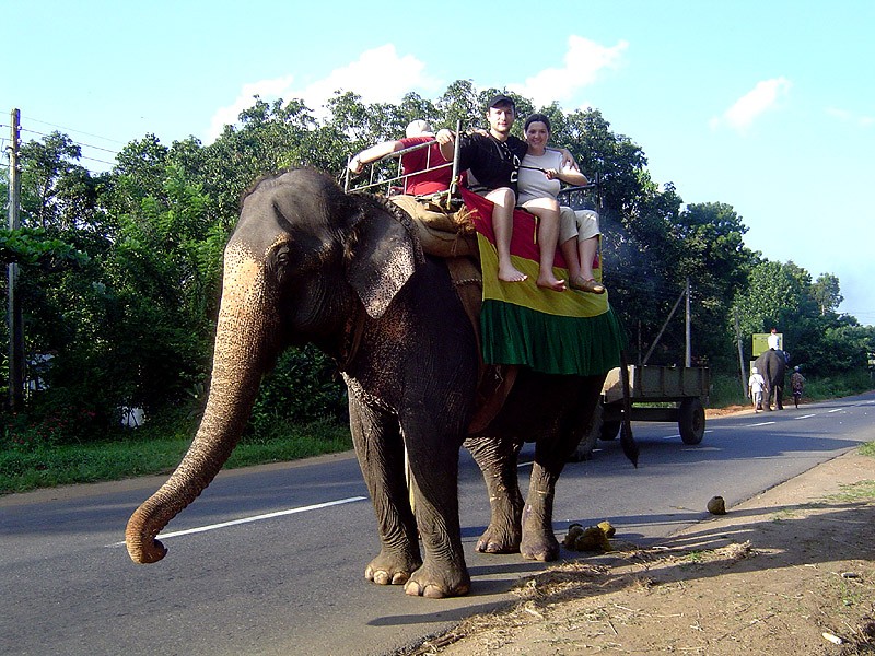 Przejażdżka na słoniu. Zdolność pociągowa - do 6 osób jednorazowo