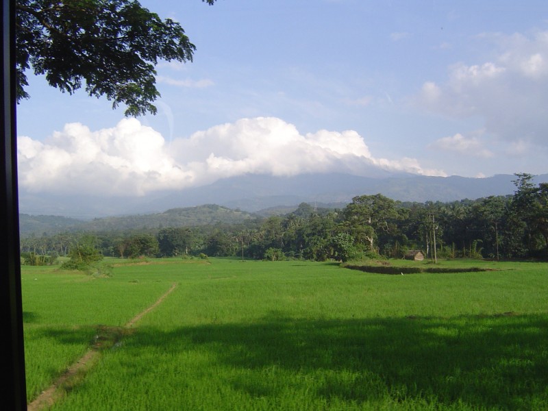 Ładne widoki na pola ryżowe i góry